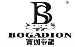 ٤ BOGADION B